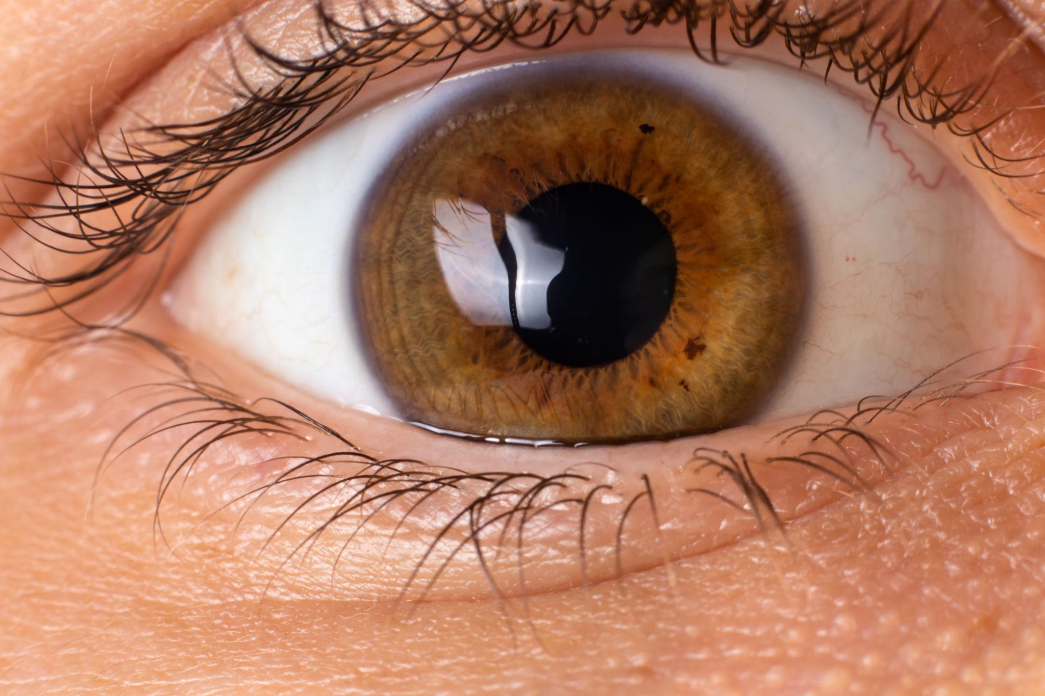 Cornea Treatment and Surface Care visual