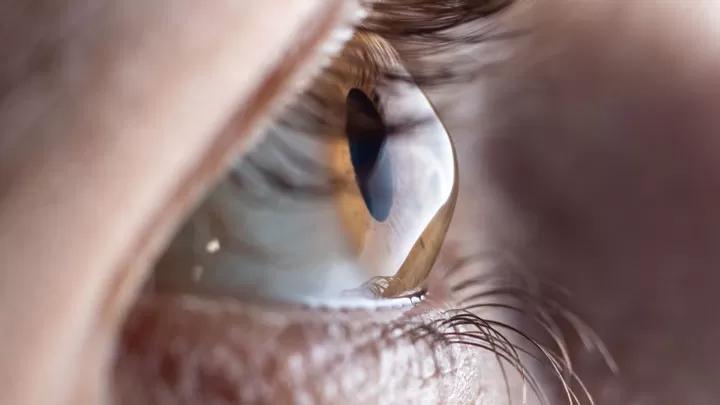 Cornea Treatment and Surface Care visual